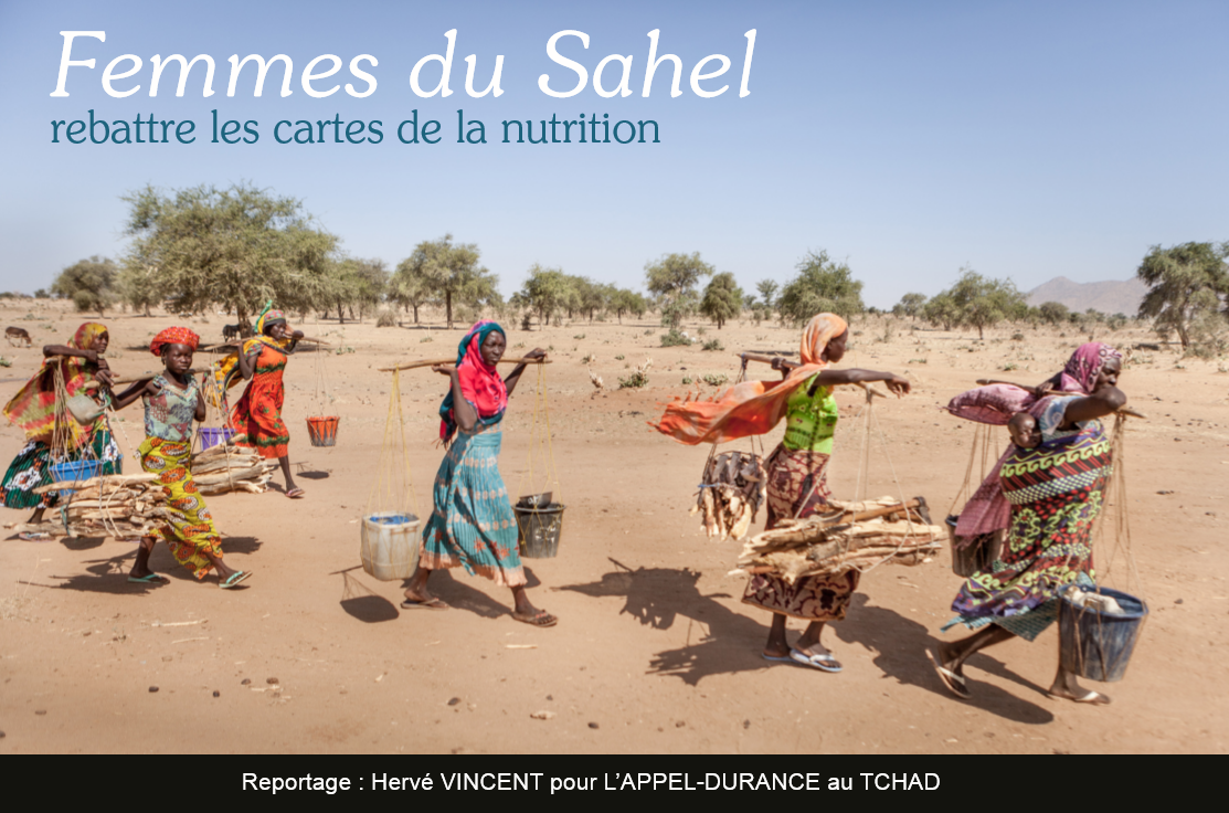 Publication du livre photos "Femmes du Sahel - rebattre les cartes de la nutrition" 